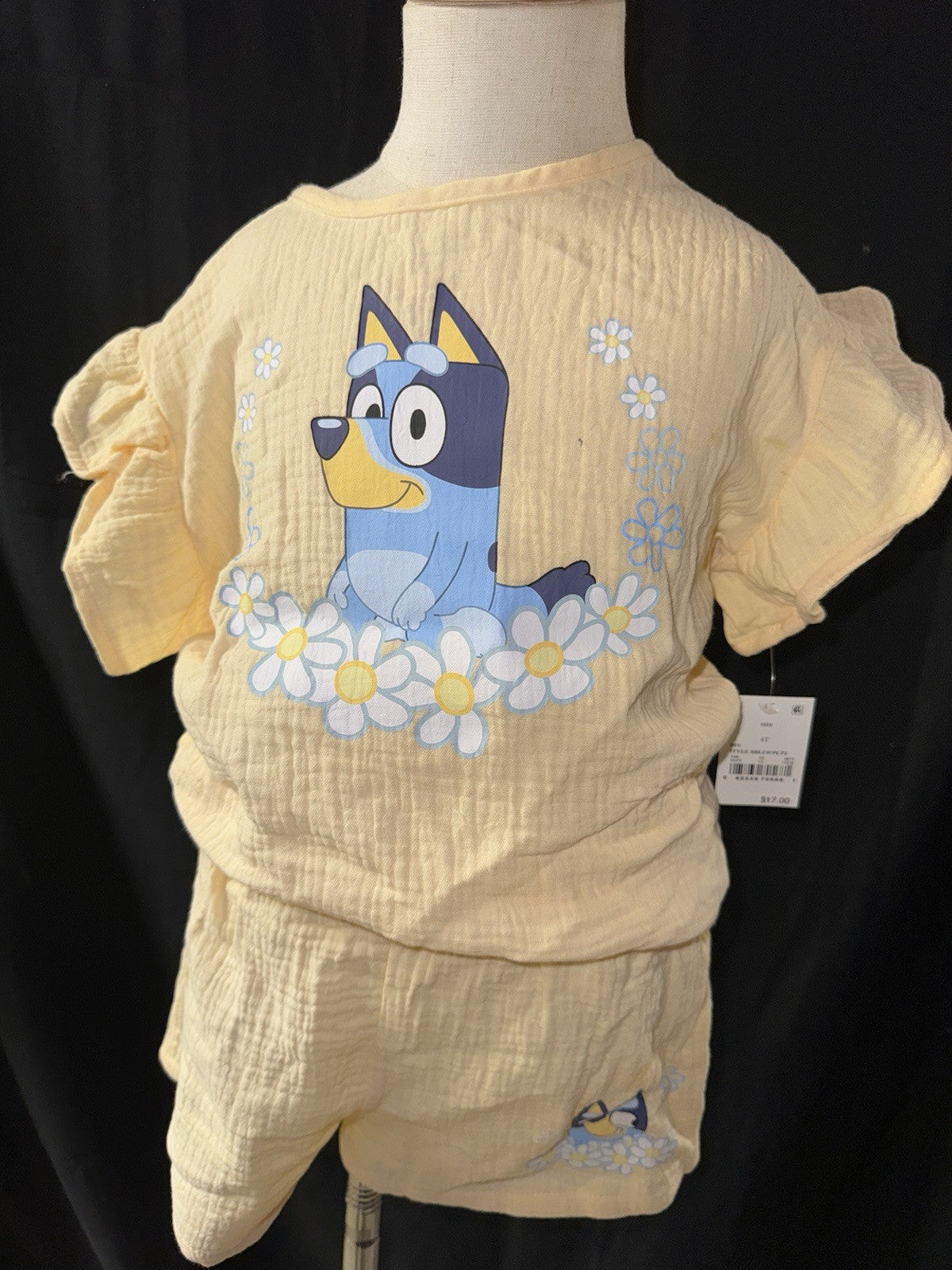 Bluey 2 Piece Girls - 4T - NWT