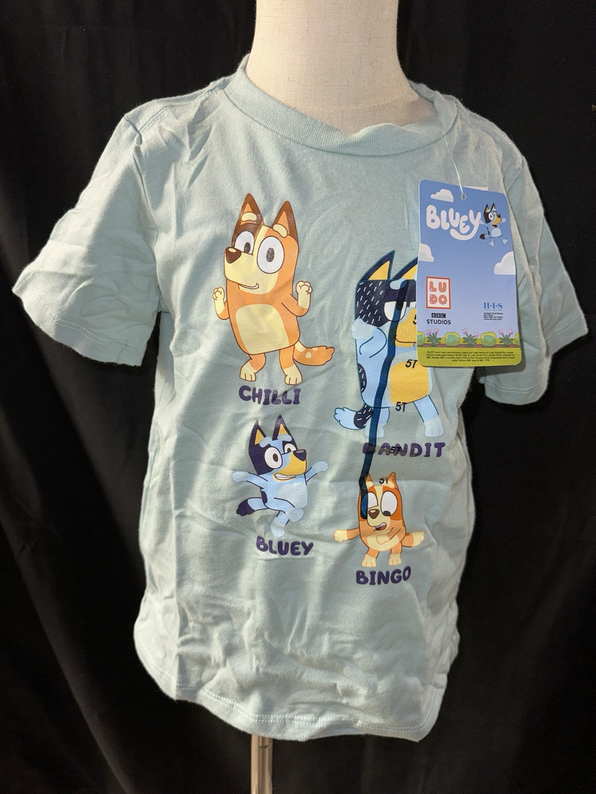 Bluet Tshirt 5T Boys - NWT